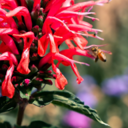 Pollen holds a secret that could save honeybees